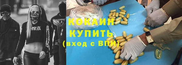 прущие грибы Горняк